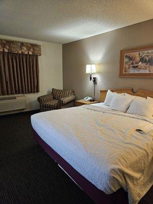 King room. Nice size, not at all cramped