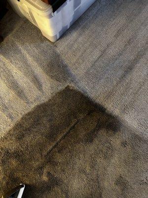Colorburst Carpet Care