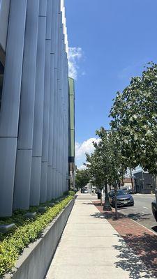 Citilight Real Estate Group