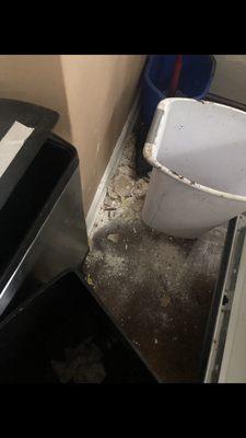 AM Realty & Property Management