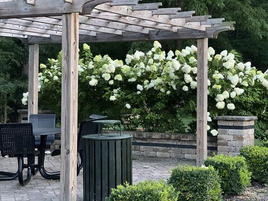 White Rock Recreation