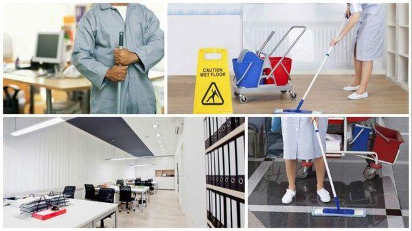 Lisa's Cleaning Service