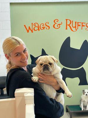 Small group daycare, training, boarding & grooming at Wags and Ruffs