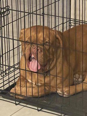 Steve Schorr Elementary School