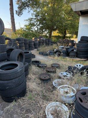 Chubanii Landscaping