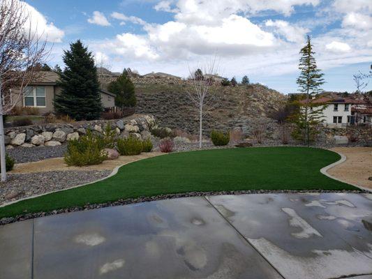 Turf on home lawn