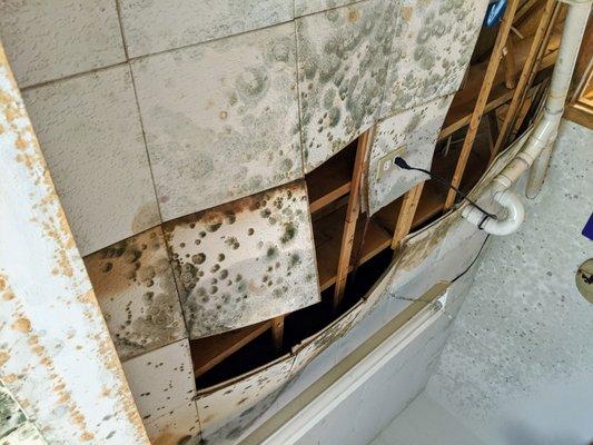 Special Comfort Heating and Cooling