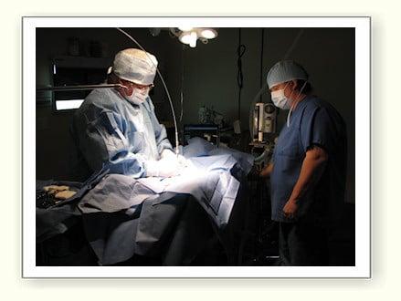 Carlton Van Horn, DVM