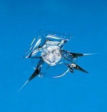 Rockstar Windshield Repair