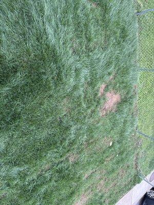 Larin Landscaping and Masonry