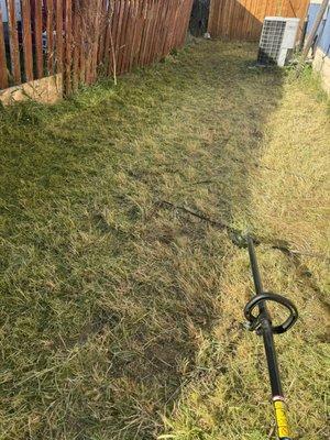 Carlos Reforestation