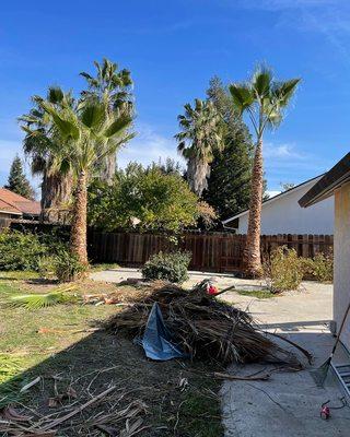 Diaz landscaping & installation