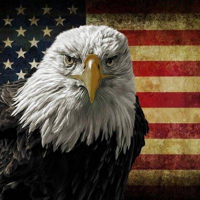 Show Me Process Service & Notary