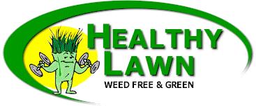 Healthy Lawn