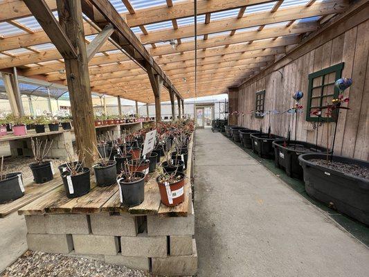 Buschkoetter's Nursery-Lawn & Garden Center