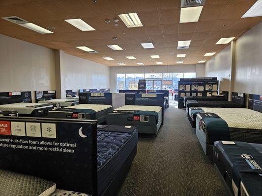 Mattress Firm Revere