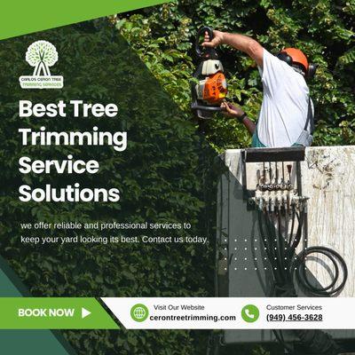 Carlos Ceron Tree Trimming Services