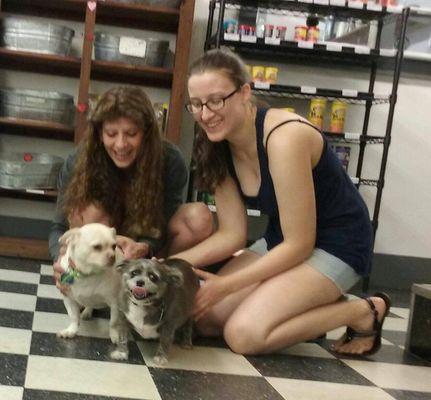 Dave's Pets & Hobbies