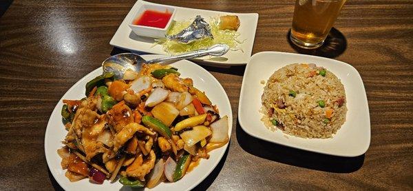 I ordered the dinner special. Chicken in garlic sauce with the pork fried rice. And the , well idk. Lol. 9. Chicken with Garlic Sauce