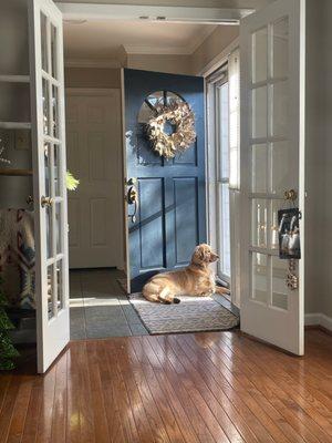 Steph's Bubbles & Bows Pet Grooming Boutique