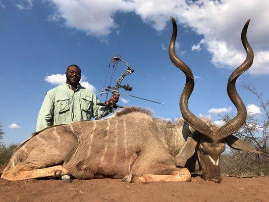 Darrells Canine Training