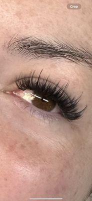 Lash Loft