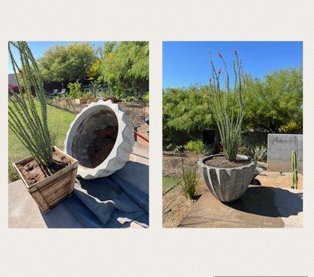 North Valley Lawn Care