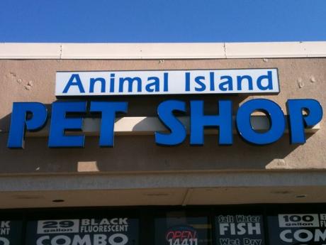 Animal Island Pet Shop