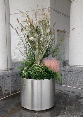 Matt Kelly Associates Plant Designs