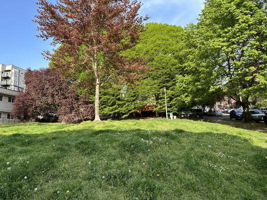 Thomas Street Mini Park