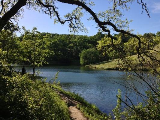 Elizabeth Anne Perrone Dog Park