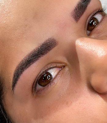 Lashes Brows & Blush