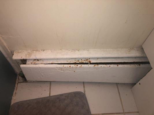 Mountain Brook Apartments