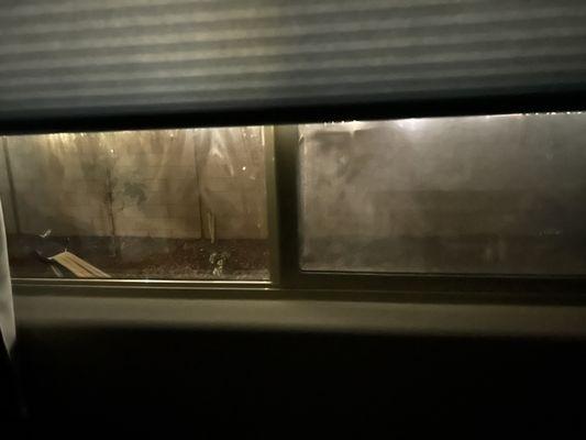 TMCOne, Dr. John Pacanowski