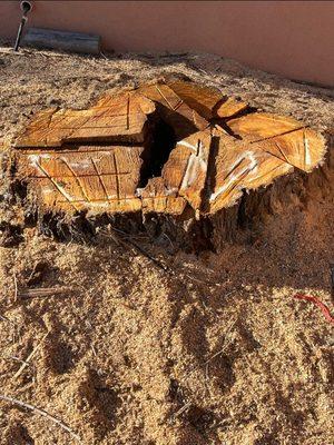 Evergreen Landscaping