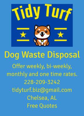 The Town of MT Laurel