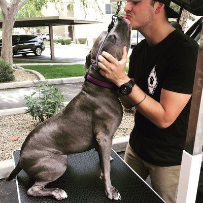 One of my favorite clients Sutton enjoying his express service!