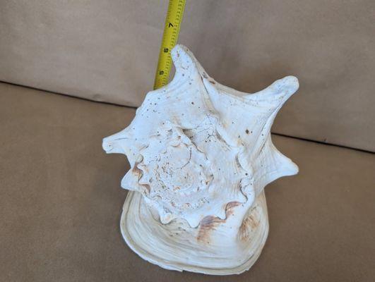 Barnacle Betty's Antique & Art Emporium