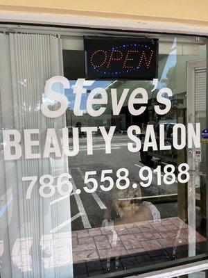Steve’s Salon