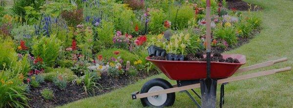 McNavish Lawncare and Landscaping