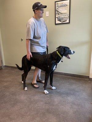 West Davis Veterinary Center