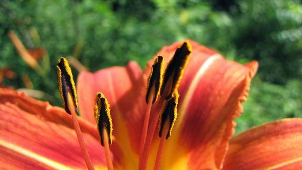 Matthew Ryan Photography