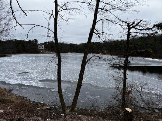 Tombstone Tree Service
