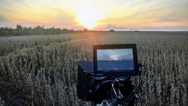 Input Output Productions