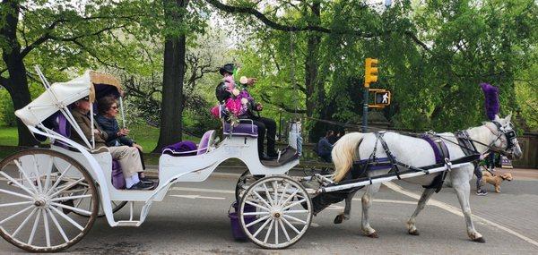 Purple carriage