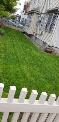 Affordable Landscaping And Sprinkler Services