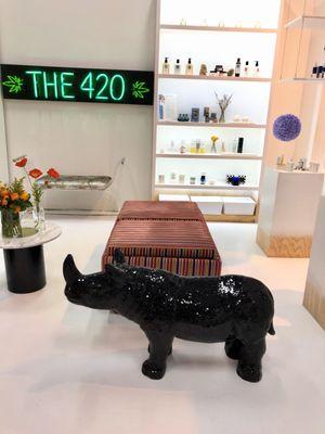 The rhino knows all.