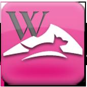 Crested Butte Lodging