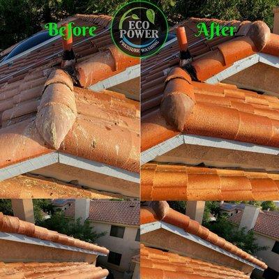 Eco Power Pressure Washing