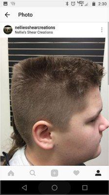 Nellie's Shear Creations